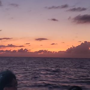 Meet your Posher, Ian